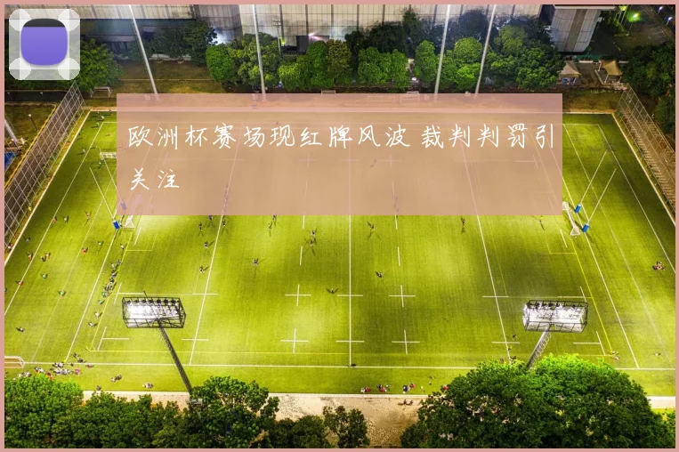 欧洲杯赛场现红牌风波 裁判判罚引关注