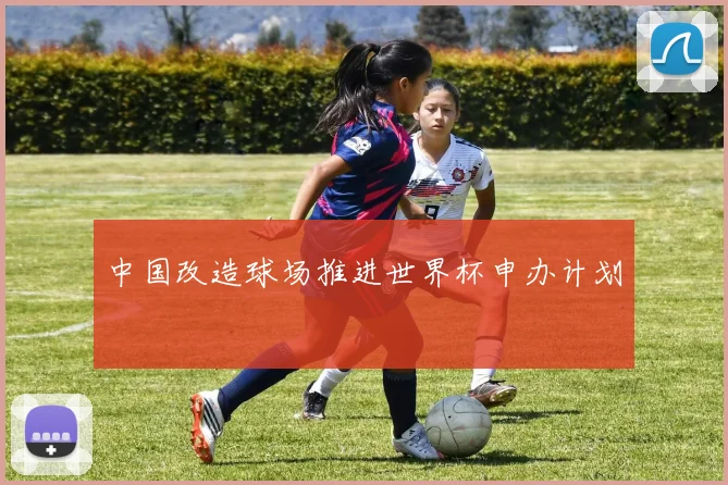 中国改造球场推进世界杯申办计划