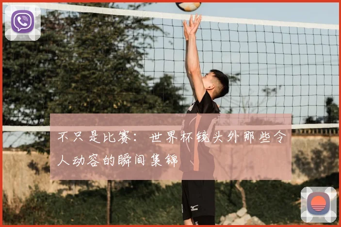 不只是比赛：世界杯镜头外那些令人动容的瞬间集锦