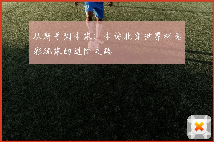 从新手到专家：专访北京世界杯竞彩玩家的进阶之路
