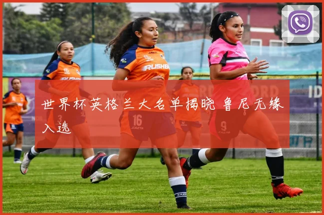 世界杯英格兰大名单揭晓 鲁尼无缘入选
