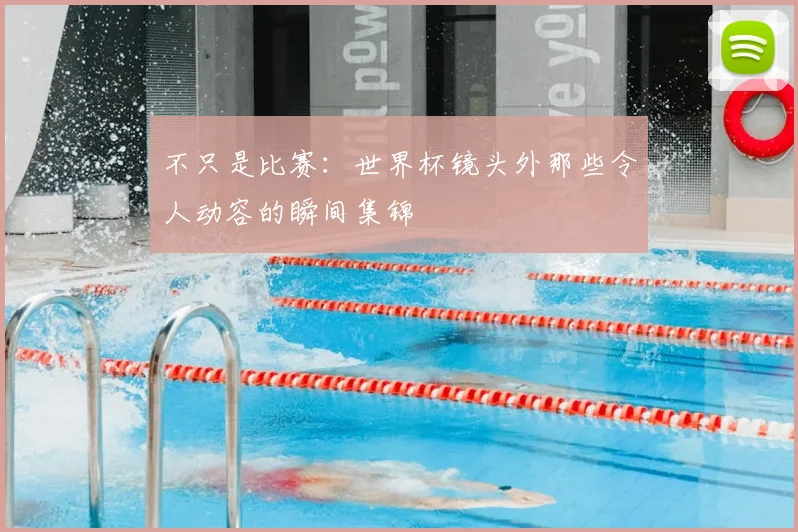不只是比赛：世界杯镜头外那些令人动容的瞬间集锦