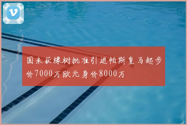 国米获橡树批准引进帕斯皇马起步价7000万欧元身价8000万