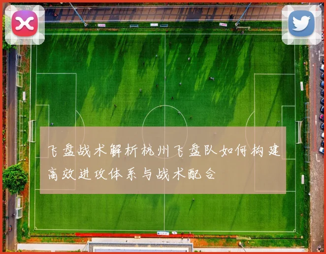 飞盘战术解析杭州飞盘队如何构建高效进攻体系与战术配合