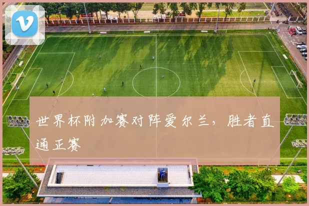 世界杯附加赛对阵爱尔兰，胜者直通正赛