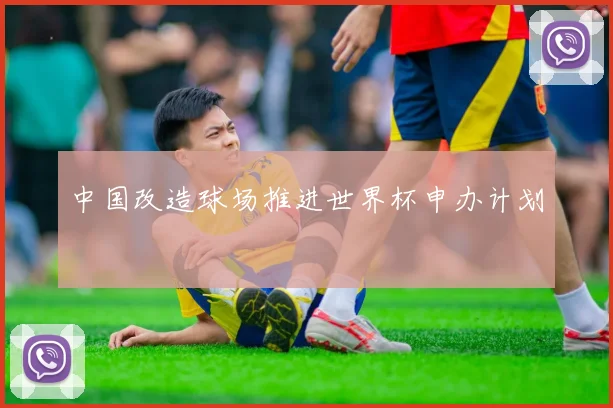 中国改造球场推进世界杯申办计划